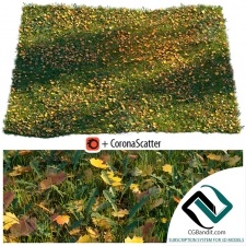 Трава Grass Lawn with dry maple leaves