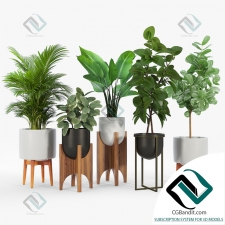 Arches Standing Planters Стоячие кашпо