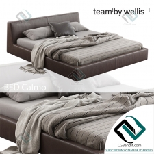Кровать Bed Team by Wellis Calmo