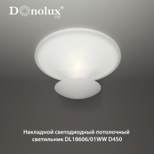 Потолочный светильник DL18606