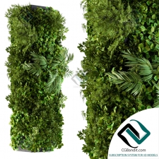 Фитостены Vertical Garden 145