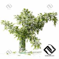 Букеты цветущая ветка