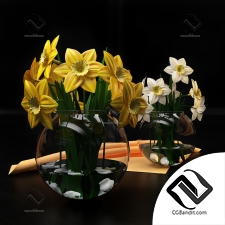 Букет Bouquet Narcissus