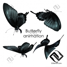 Живые существа Living creatures Butterfly animation