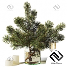 Декоративный набор Decor set Bouquet of pine branches in a glass vase