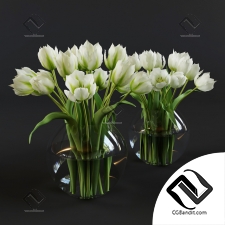 Букет Bouquet White and green tulips