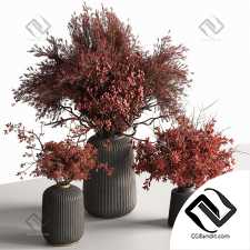 Букет красных веток