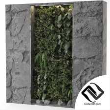 Фитостены Vertical Garden 11