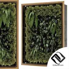 Фитостены Вертикальный сад на стене