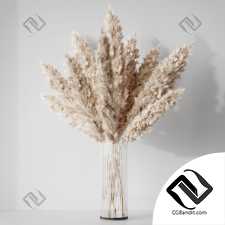 Букет Bouquet Pampas