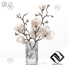 Букет Bouquet Magnolia