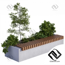 Bench with Plants 79