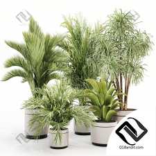 Комнатные растения set 17