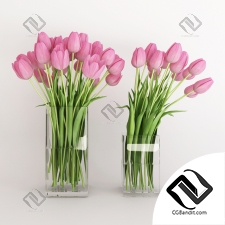 Букет Bouquet Two vases with pink tulips