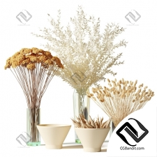 Букет Bouquets of dried flowers in glass vases