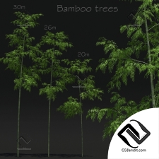Деревья Trees Bamboo