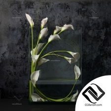 Букет Bouquet White calla lilies
