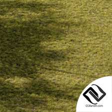 Короткая трава