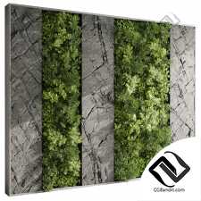 Фитостены 16