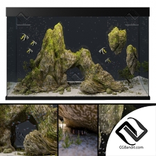 Аквариум со скалами и мхом Aquarium with rocks and moss