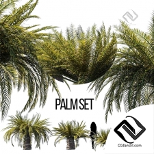 Деревья Trees Sago palm