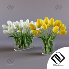 Букет Bouquet White and yellow tulips