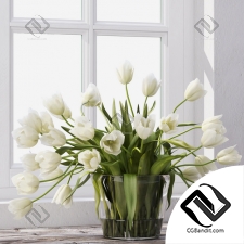 Букет Тюльпанов Bouquet Tulips