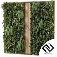 Фитостены Vertical Garden 02