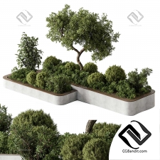 Уличные растения 302