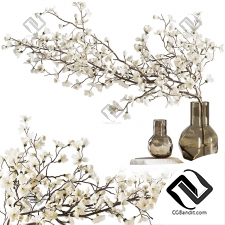 Ветка в вазе