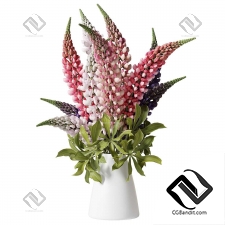 Букеты с люпинами