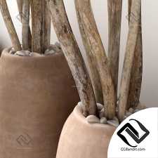 Dry branc vase decor n4