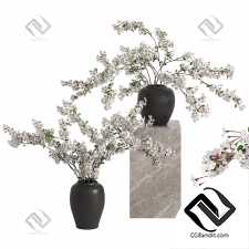 Букеты White Cherry