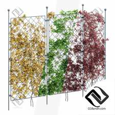 Фитостены 101