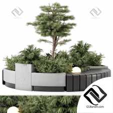 Уличные растения 381