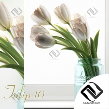 Букет Bouquet Tulip 8