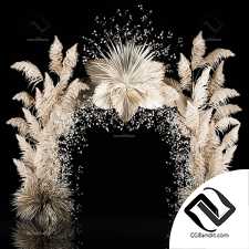 Свадебная арка из сухоцветов и пампасной травы