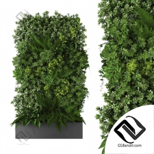 Фитостены Vertical