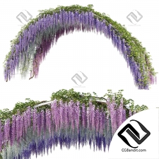 Арка с вистерией