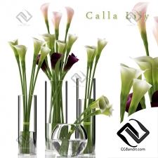 Букет Bouquet Calla Lily 02