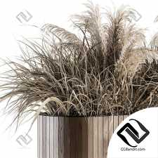 indoor Plant Set 122- Dried Plants in Wood Stand