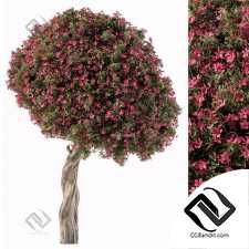 Деревья Flower