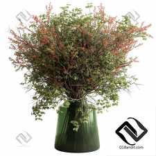 Букеты Green Branch