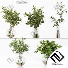 Букеты collection 52