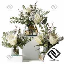 Букеты с протеями и эвкалиптом