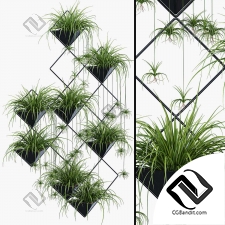 Комнатные растения Ikebana