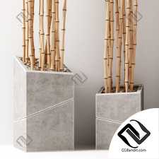Bamboo vase slice thin branch decor n3 / Ветки бамбука в вазах