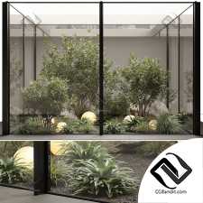 Комнатные растения 655