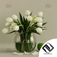 Букет Bouquet White tulips