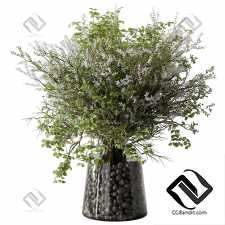 Букеты Green Branch 01